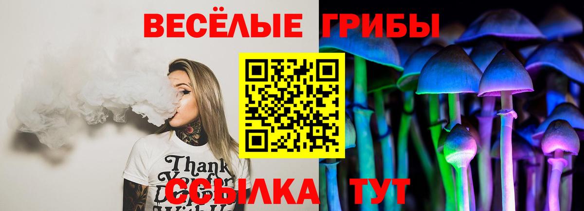 Галлюциногенные грибы GOLDEN TEACHER Мегион