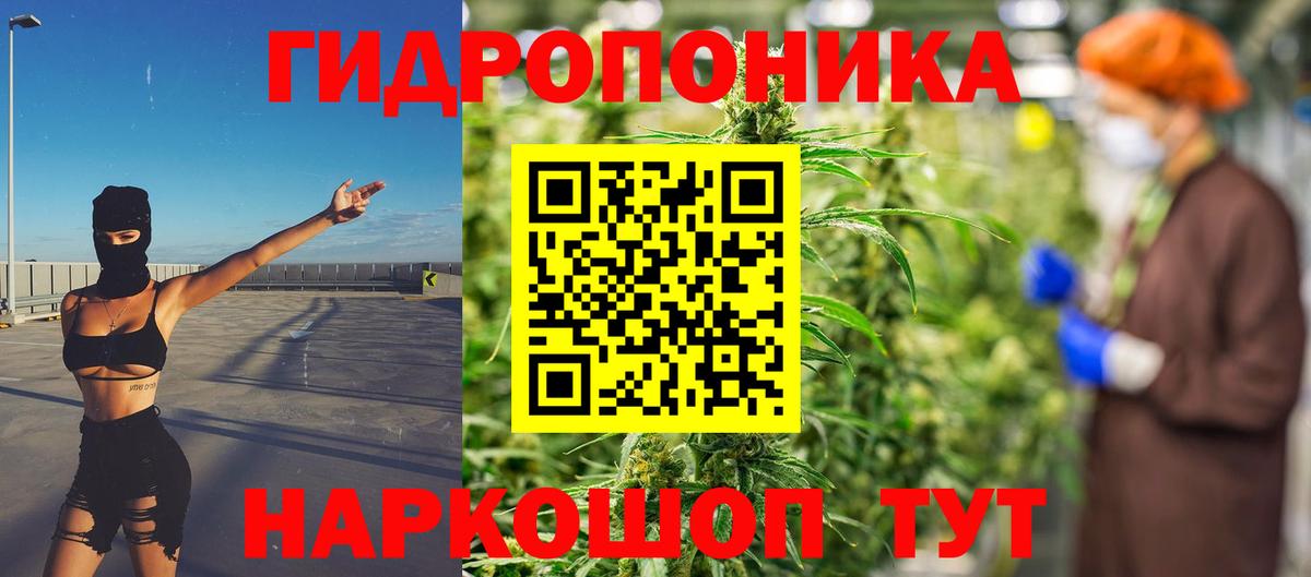 Шишки марихуана марихуана Мегион
